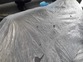 Daewoo Nexia