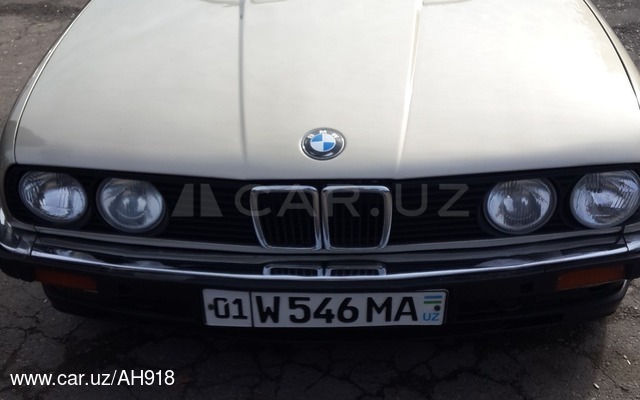 BMW 318